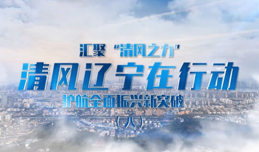 匯聚“清風(fēng)之力” 清風(fēng)遼寧在行動（八）