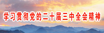 學習貫徹黨的二十屆三中全會精神